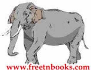 Bujju's Brave Adventure Write some sentences about the picture