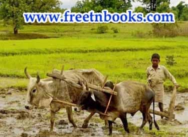 The Farmer and his Daughters - Name the actions of Murugan