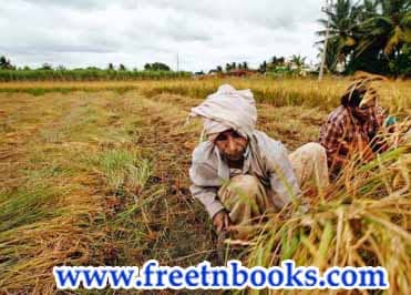 The Farmer and his Daughters - Name the actions of Murugan