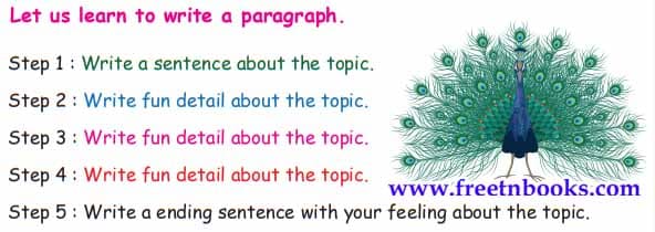 The Wooden Toy - Let us learn to write a paragraph