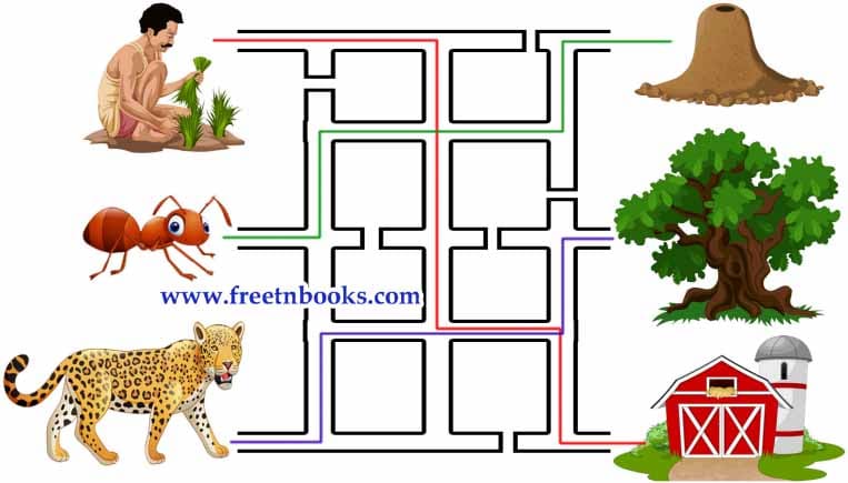 What do humans save - Match with their storing places