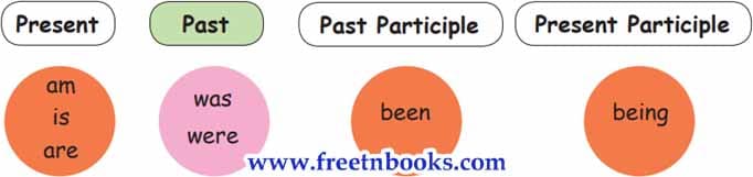 What do humans save - Simple past tense 
