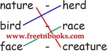 Practice Makes a Man Perfect - Match the correct rhyming words
