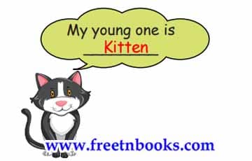 The Monster Tree - Fill in the blanks
