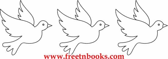 The New Start - Read the passage 3 times and colour the dove for each time
