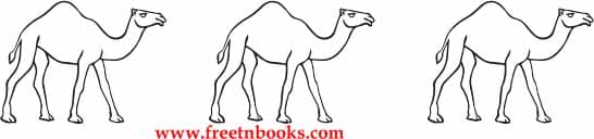 The Witty Sparrow - Read the passage 3 times and colour a camel for each time