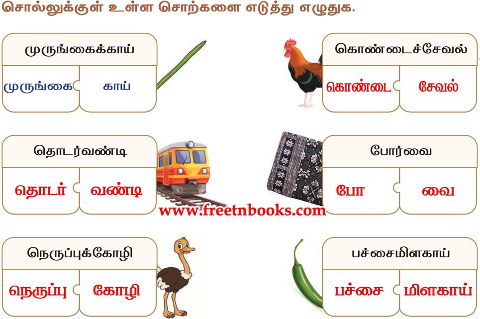 2nd Standard Tamil Lesson Nam Ninaivil - Sollukul ulla Sorkalai Eduthu eluthuga
