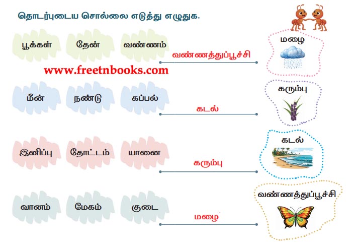 3rd Standard Tamil Lesson - Kozhi Thedum Koli - thodarbudaiya sollai eduththu ezhuthuga