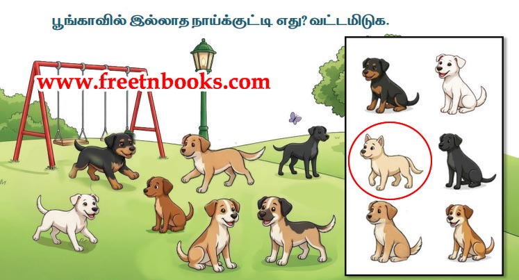 3rd Standard Tamil Lesson Nam Ninaivil - poongaavil illaatha naaikkutti ethu vattamiduga b