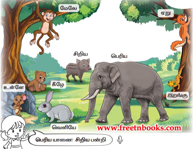 3rd Standard Tamil Lesson - meenuvin vandi - thodar amaiththuk kooruga