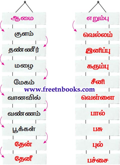 3rd Standard Tamil Lesson - poongaavil oru naal - thodarbudaiya sorkalai ezhuthuga a