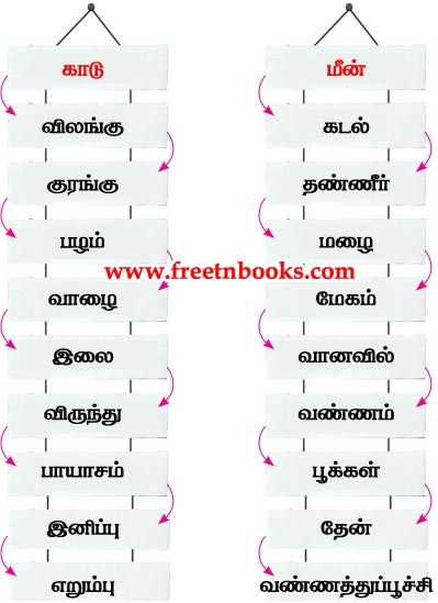 3rd Standard Tamil Lesson - poongaavil oru naal - thodarbudaiya sorkalai ezhuthuga c