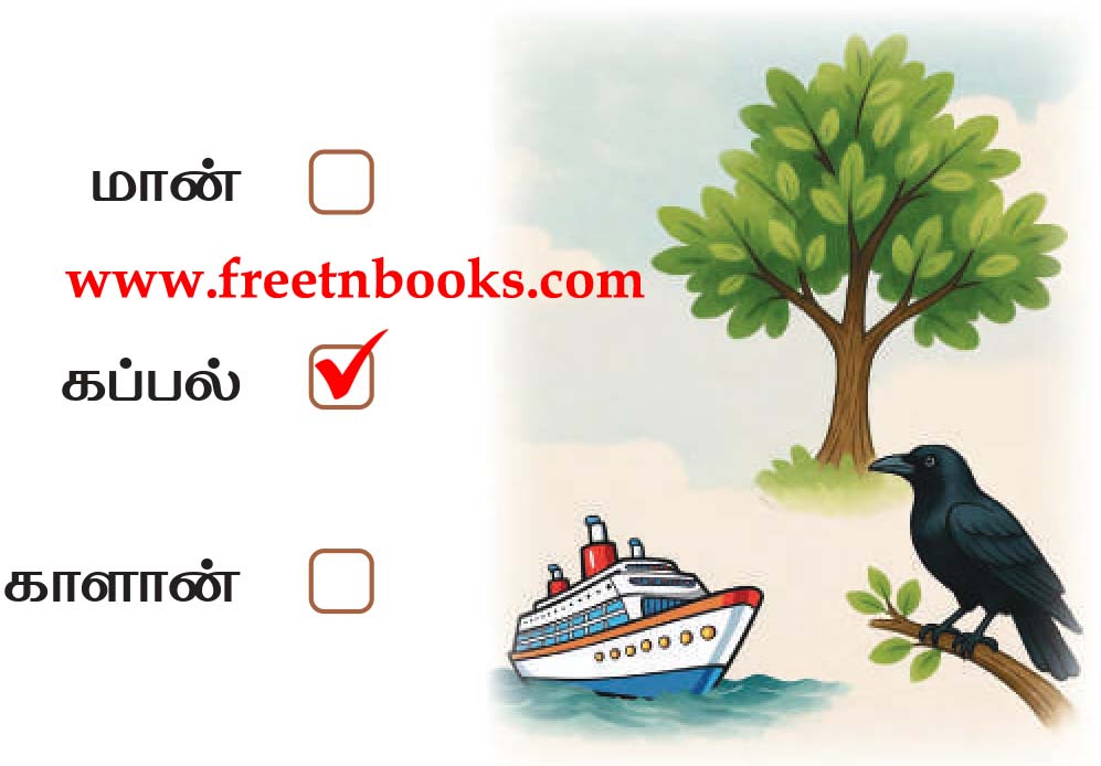 2nd Standard Tamil Lesson Bommai - padaththil iruppathu ethu tick seiga