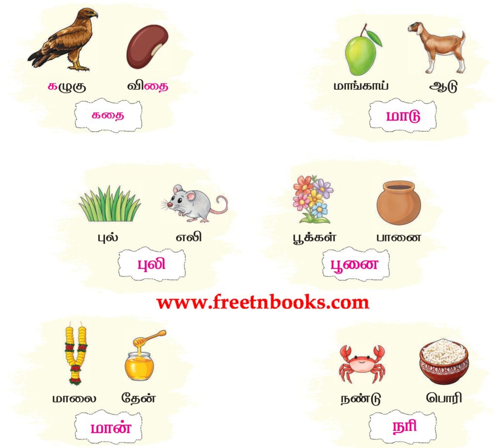 2nd Standard Tamil Lesson Mazhaiye Vaa - sorkalai uruvaakki ezhuthuga