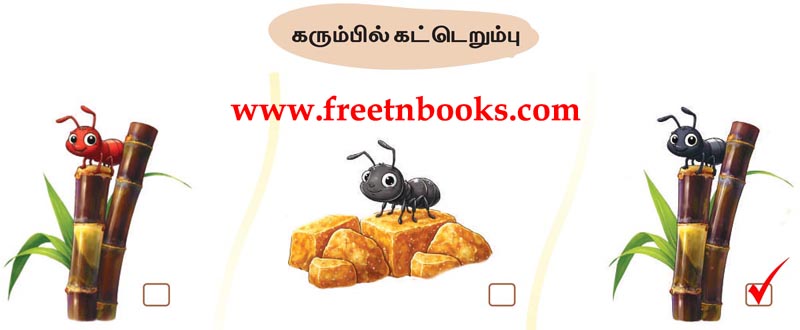 2nd Standard Tamil Lesson sullerumbin oru naal - thodarukku uriya padam ethu